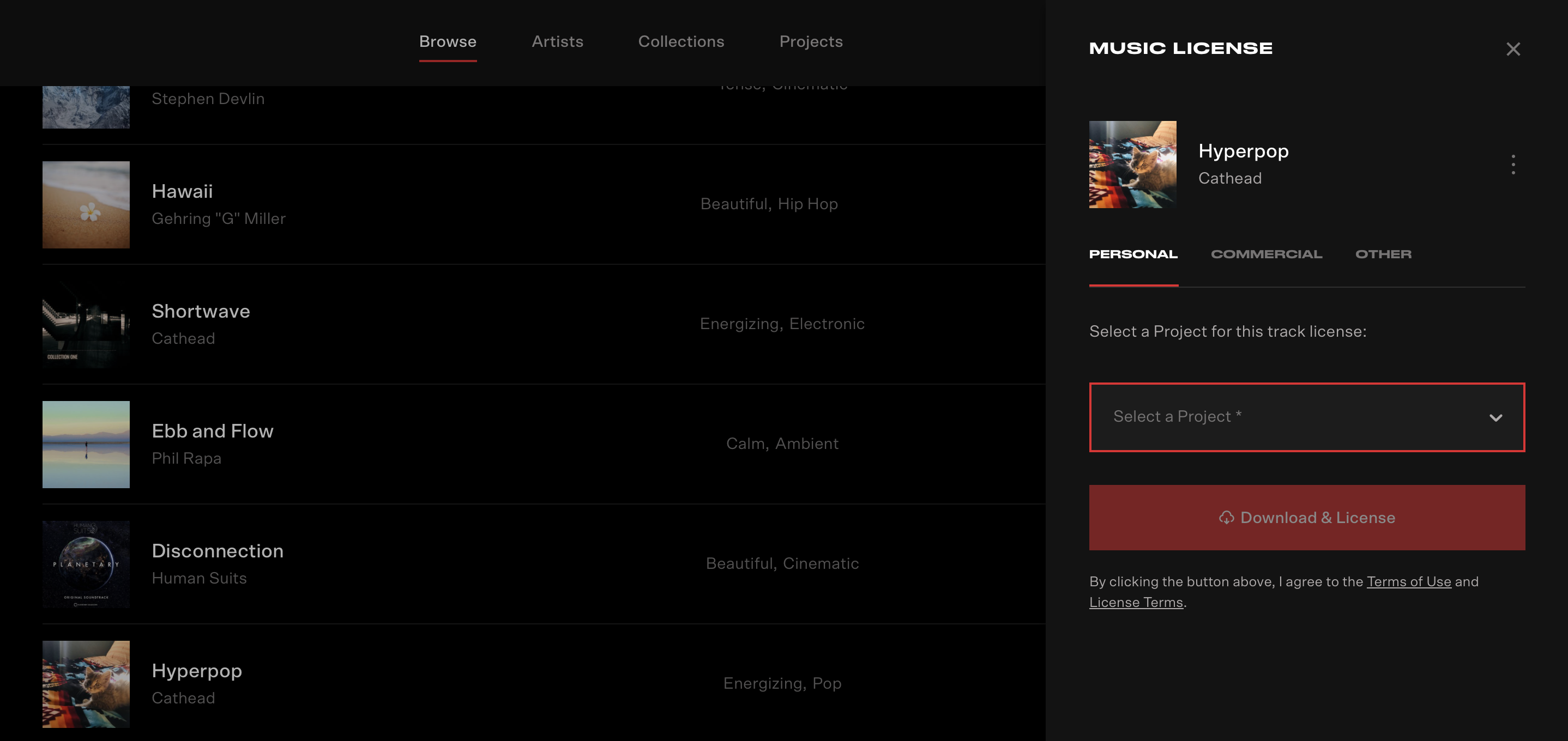 Screenshot of Checkout Process